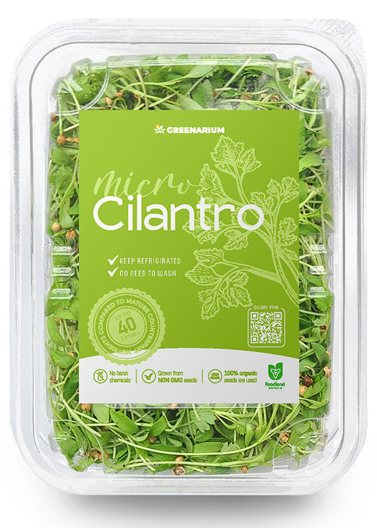 Cilantro (50g)