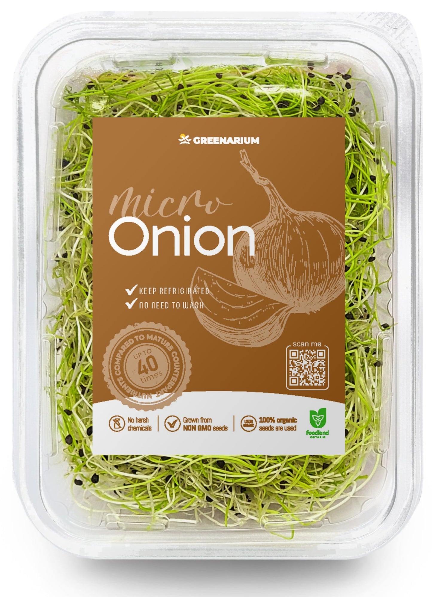 Onion (60g)