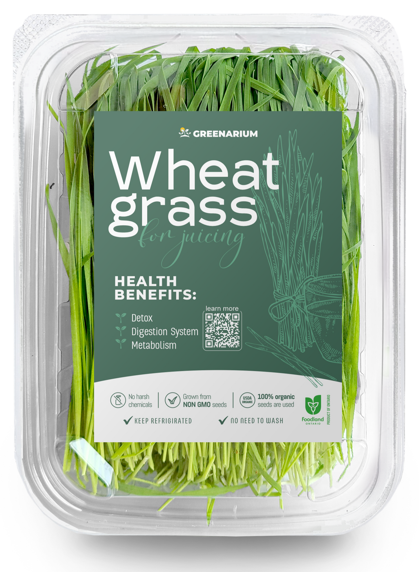 Wheatgrass (80g)